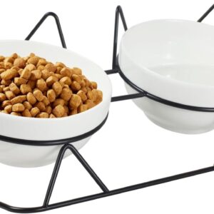 Elevated Tilted Cat Bowls for Indoor Cats