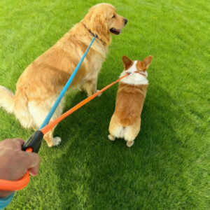 Slip Lead Leash 5FT Nylon Soft Dog Leash Slip
