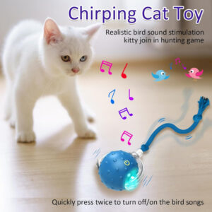 Interactive Cat Toys Ball for Indoor Cats Fast Rolling on Carpet