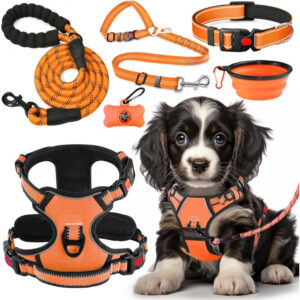 No Pull Dog Harness, Collar & Leash Set| Includes Dog Seat Belt
