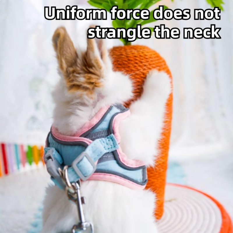 Adjustable Bunny Harness and Leash Set Double Buckle - Image 4
