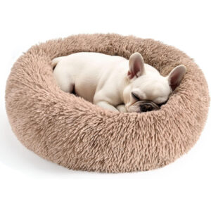 Dog & Cat Bed for Indoor Cats