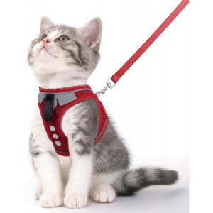 Cat Harness and Leash Set for Walking Escape Proof